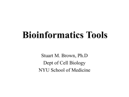 Medical Applications of Bioinformatics