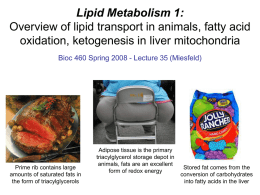 Lecture 35 - Lipid Metabolism 1