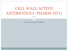 CELL WALL ACTIVE ANTIBIOTICS I {ST1}