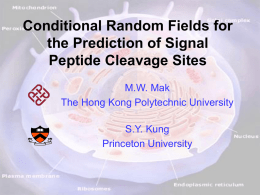 CRF for SP Cleavage Site Prediction