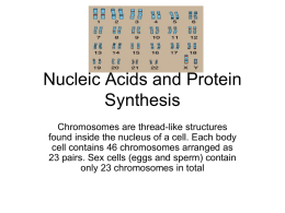 Nucleic Acids and Protein Synthesis