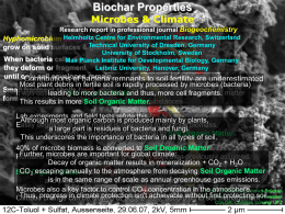 How to make biochar - TERRA: The Earth Renewal and