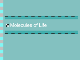 Molecules of Life