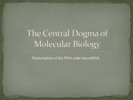 The Central Dogma of Molecular Biology