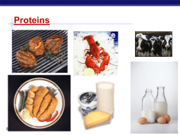 Proteins - Explore Biology