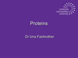 Dr Una Fairbrother