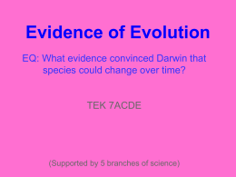 Evidence of Evolution - H.S.H.P. Biology