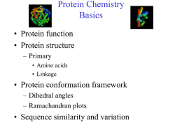 Protein Basics - Northeastern University