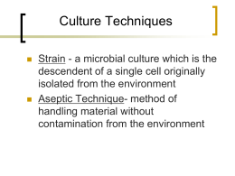 Bacterial Growth and Laboratory Cultivation