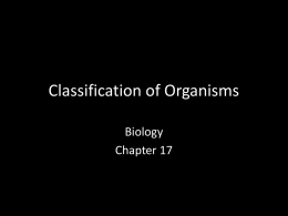 Classification of Organisms - Illini West High School Dist