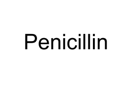 Penicillin - Stephen F. Austin State University