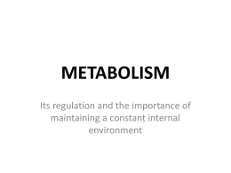 METABOLISM - OxleyLearning Home