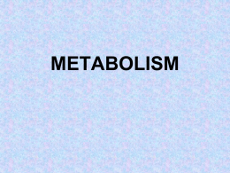 METABOLISM & - Doctor Jade