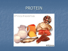 PROTEIN - Schoolwires