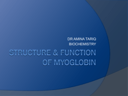 STRUCTURE & FUNCTION OF MYOGLOBIN