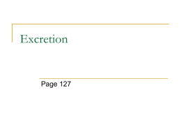 Excretion - JLooby Biology