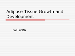 Adipose Tissue Growth and Development