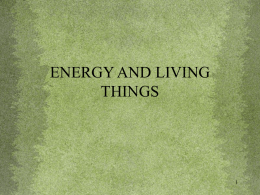 ENERGY AND LIVING THINGS