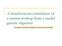 A bioinformatics simulation of a mutant workup from a