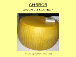 CHEESE CHAPTER NO: