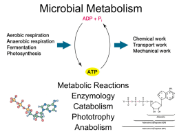 Microbial Metabolism