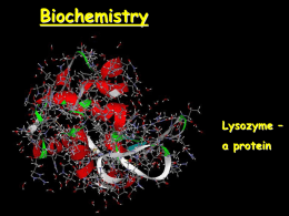 Biochemistry - ScienceGeek.net