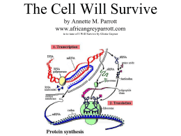 The Cell Will Survive - Jefferson County Public Schools