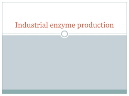 Industrial enzyme production
