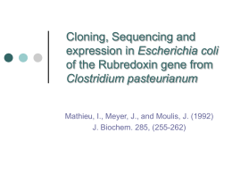 Cloning, Sequencing and expression in Escherichia coli of