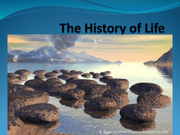 Chapter 14 – The Origin of Life