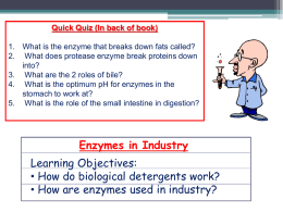 Using enzymes in industrial processes