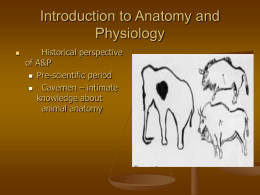 Introduction to Anatomy and Physiology