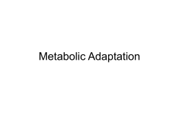 Metabolic Adaptation - Washington State University
