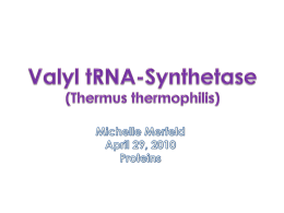 Valyl tRNA-Synthestase - Illinois State University