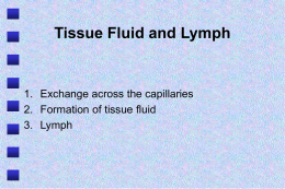 Tissue Fluid and Lymph
