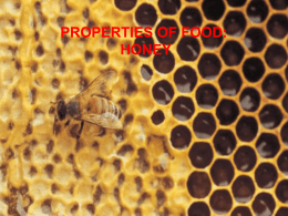 PROPERTIES OF FOOD: CHOOSE ONE AND GO (e.g. HONEY
