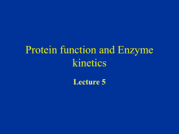 Enzyme kineics