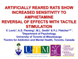 Sample Poster - University of Toronto Mississauga