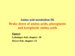 Amino acid metabolism III. Brake down of amino acids