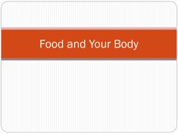 Food and Your Body