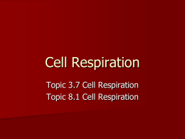 Cell Respiration notes