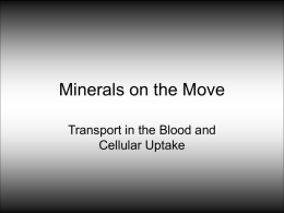 Minerals on the Go