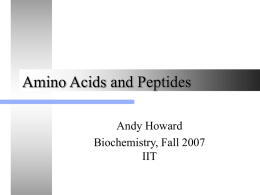 aminoacids