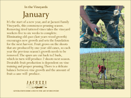 In the Vineyards-PPT - Jacuzzi Family Vineyards