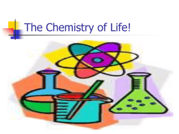 Unit 2 - Biochemistry Notes