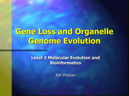 Gene Loss and Organelle Genome Evolution
