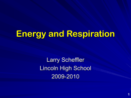 Energy and Respiration
