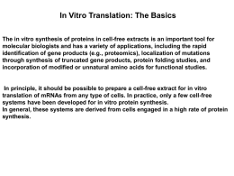 IN VITRO TRANSCRIPTION . TRANSLATION - e