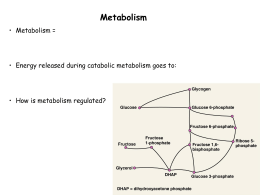 Metabolism of fats and proteins