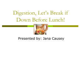 Digestion, Let`s break it down for lunch! Causey